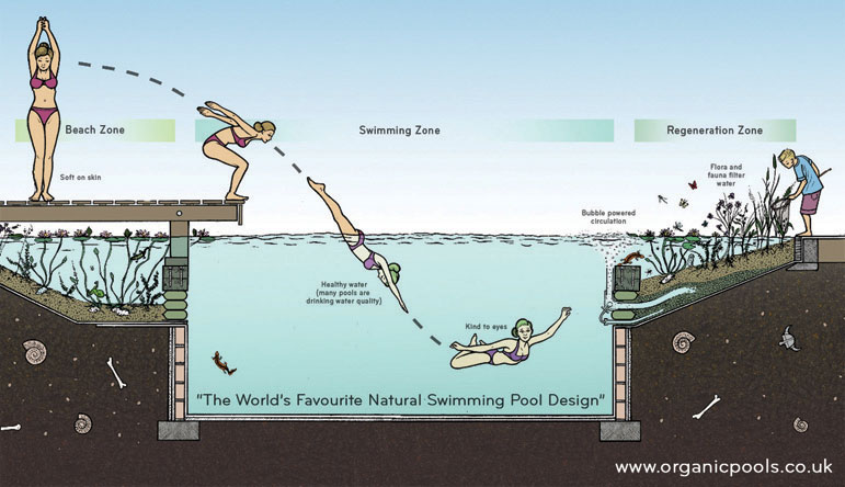 natural swimming pond diagram